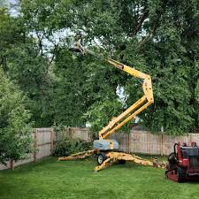 Best Commercial Tree Services  in Port Hadlock Irondale, WA
