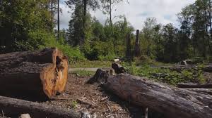 Landscape Design and Installation in Port Hadlock Irondale, WA
